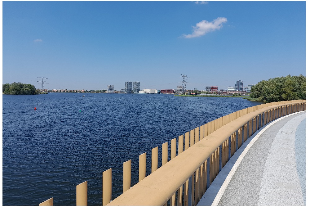 attractive laughing guy having fun smiling happy.jpg