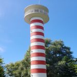 vertical shot beautiful smiling girl.jpg