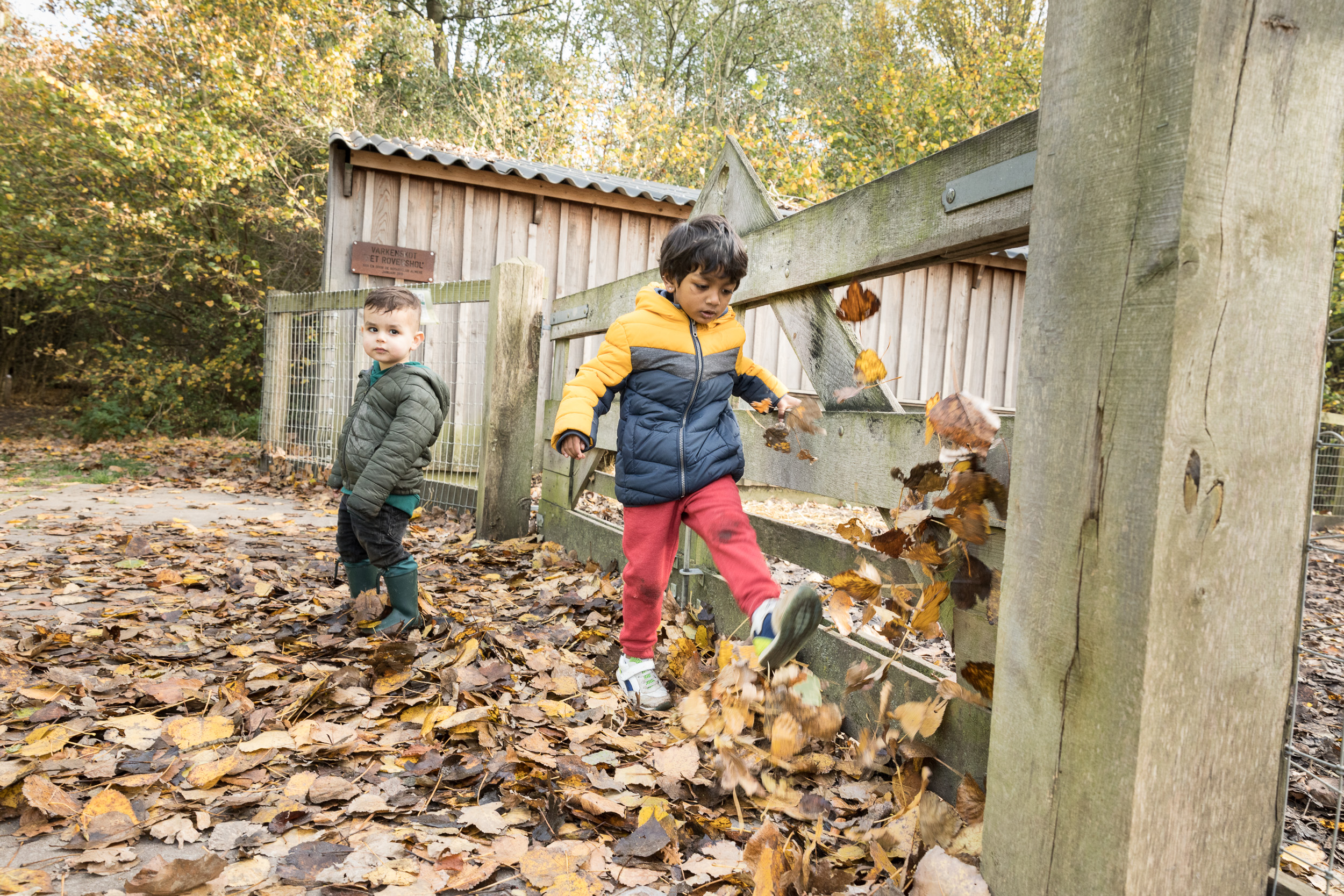 kinderen 2