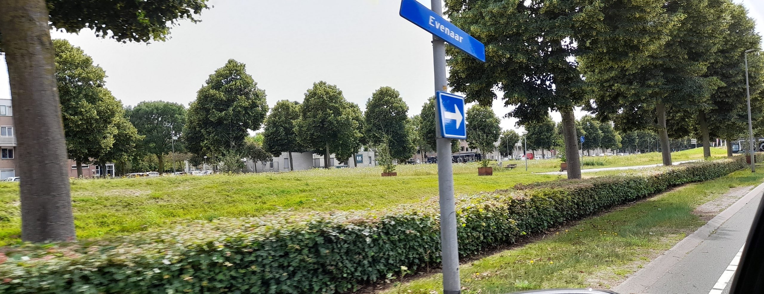 evenaar 2
